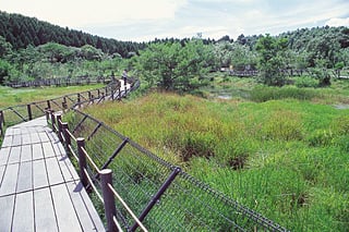 高鍋湿原