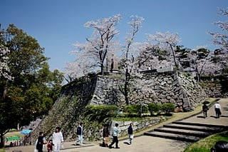 城山公園