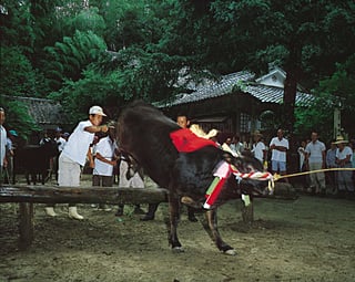 牛越祭